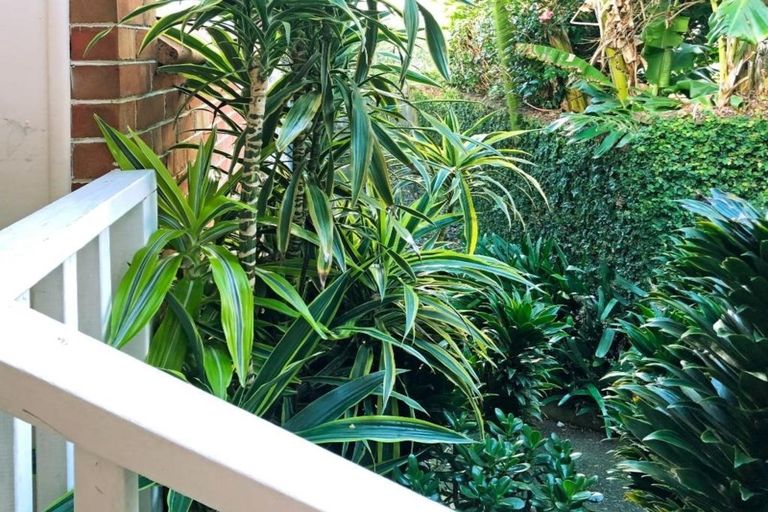 Photo of property in 3/8 Park Avenue, Takapuna, Auckland, 0622