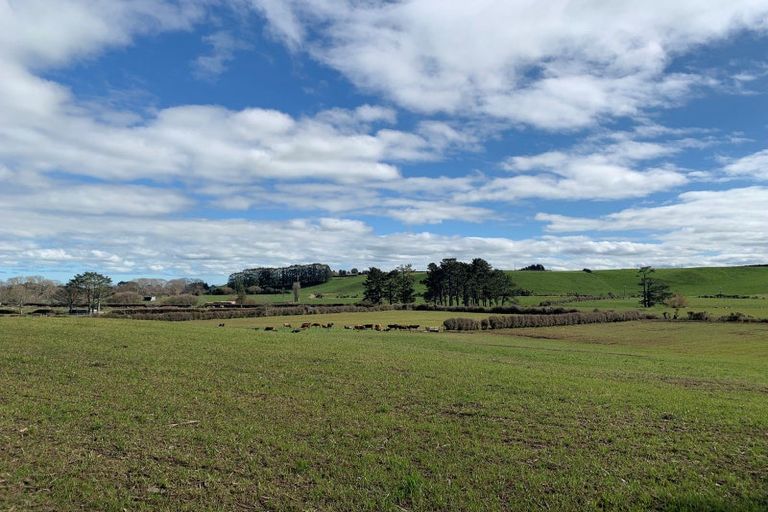 Photo of property in 169 Rawhitiroa Road, Eltham, 4398