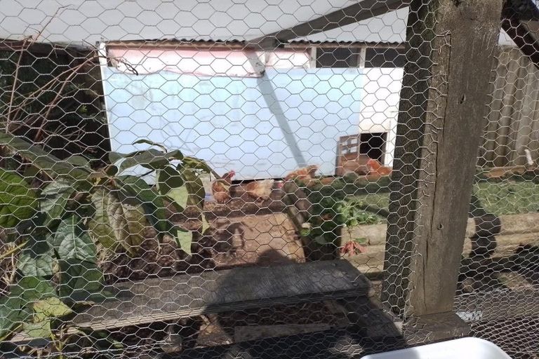 Photo of property in 16 Banks Street, Waihi, 3610