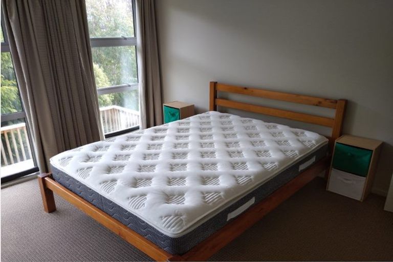 Photo of property in 36 Sutherland Street, Dunedin Central, Dunedin, 9016