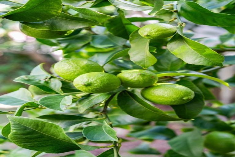 Photo of property in 230b Rangi Avenue, Whangamata, 3620