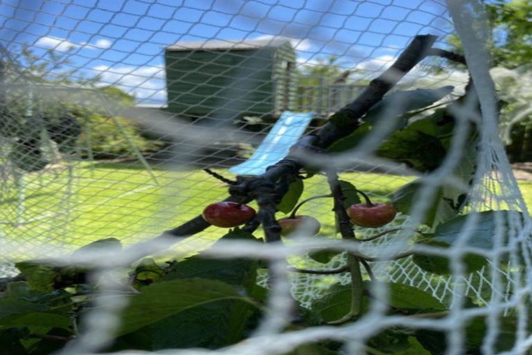 Photo of property in 28 Selwyn Street, Witherlea, Blenheim, 7201