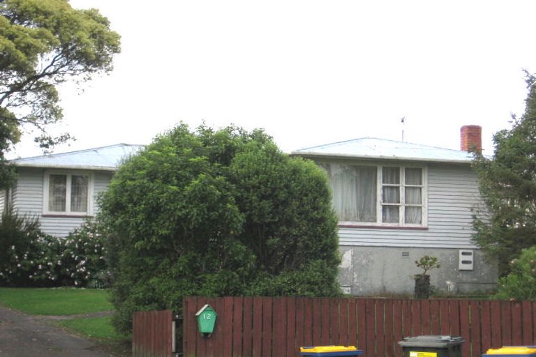 Photo of property in 12 Adriatic Avenue, Henderson, Auckland, 0612