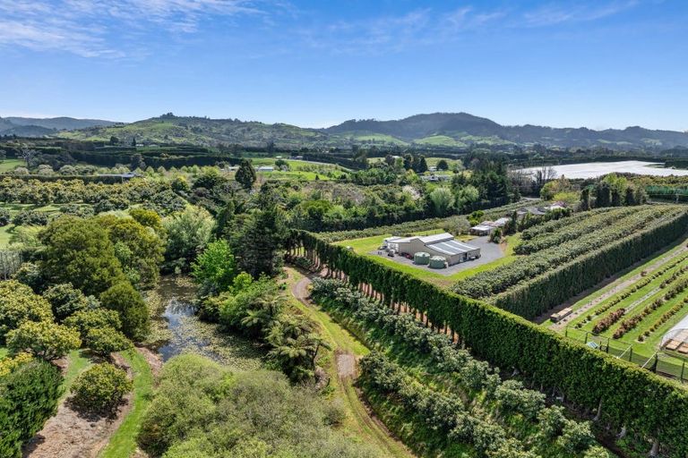 Photo of property in 124 Kauri Point Road, Tahawai, Katikati, 3170