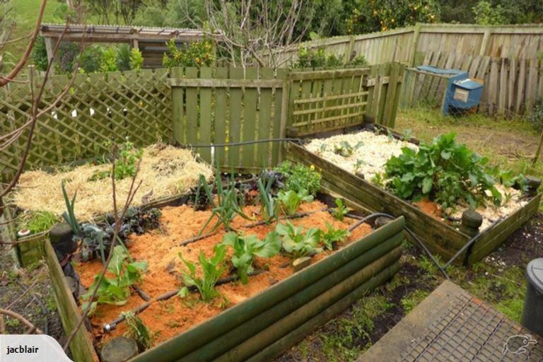 Photo of property in 64 Bays Road, Orere Point, Papakura, 2585