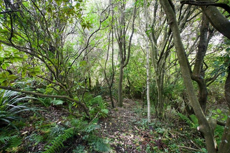 Photo of property in 33 Brownville Crescent, Maori Hill, Dunedin, 9010