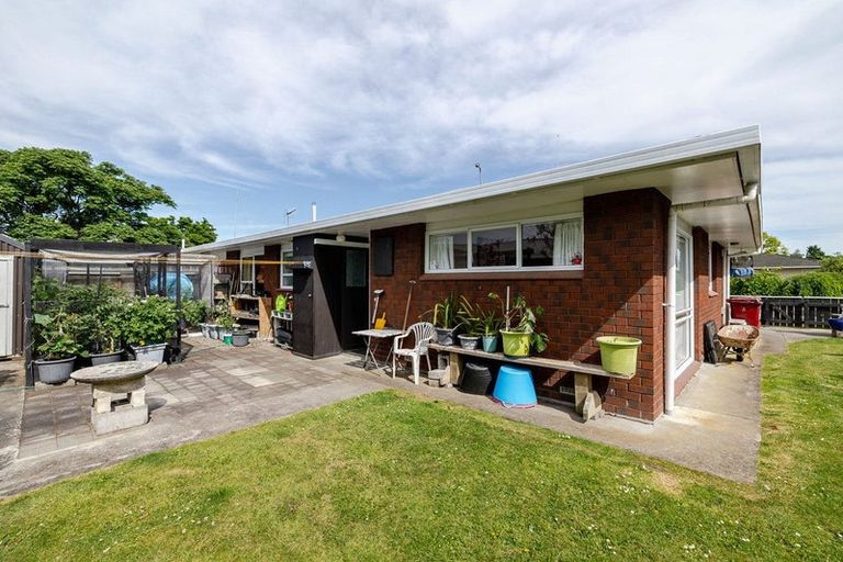Photo of property in 19 Te Punga Place, Awapuni, Palmerston North, 4412