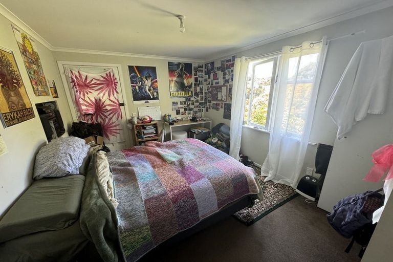 Photo of property in 55 Raroa Road, Kelburn, Wellington, 6012