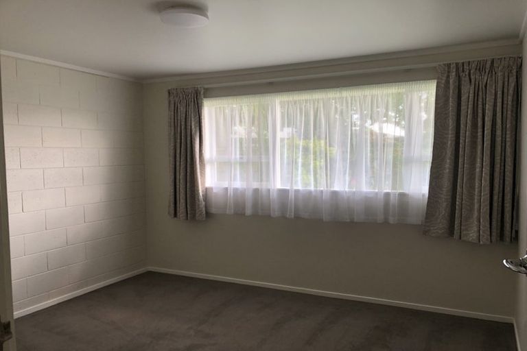 Photo of property in 52 Buscomb Avenue, Henderson, Auckland, 0610