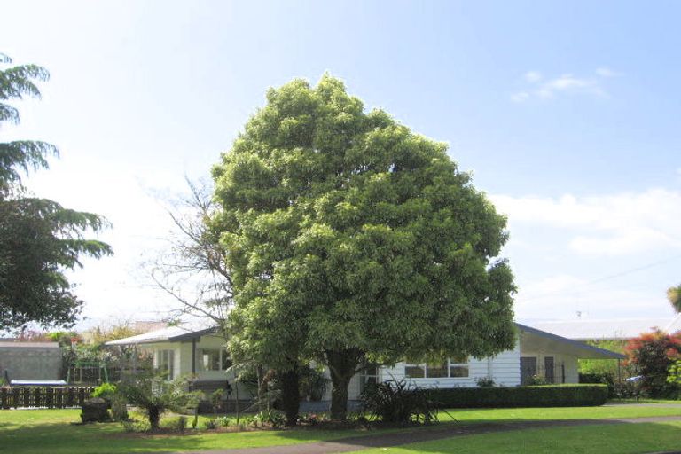 Photo of property in 25 Kauri Crescent, Matamata, 3400