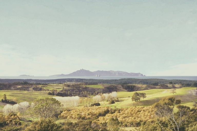 Photo of property in 36 Aroha Road, Te Arai, Wellsford, 0975