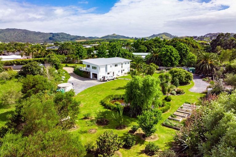 Photo of property in 59b Jack Boyd Drive, Mangawhai Heads, Kaiwaka, 0573