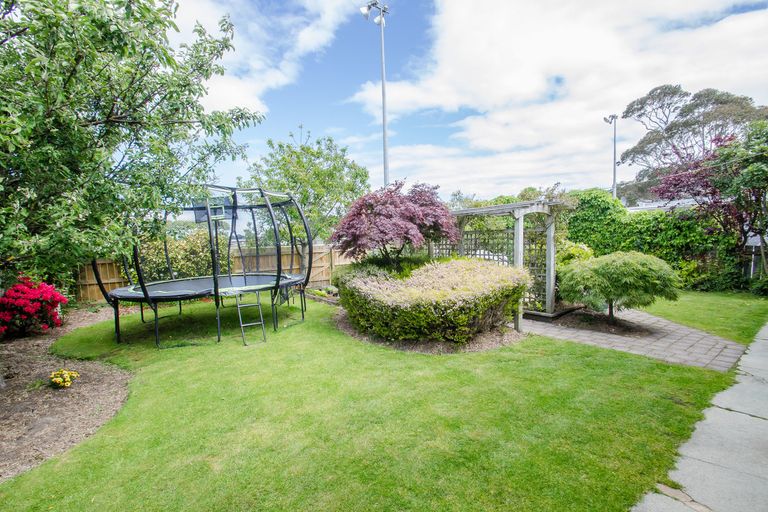 Photo of property in 239 Macandrew Road, Forbury, Dunedin, 9012