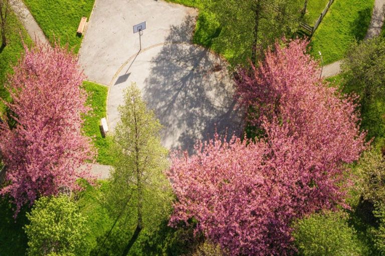 Photo of property in 9 Innes Place, Arrowtown, 9302