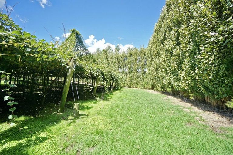 Photo of property in 120 Rotoehu Road, Pukehina, Te Puke, 3186