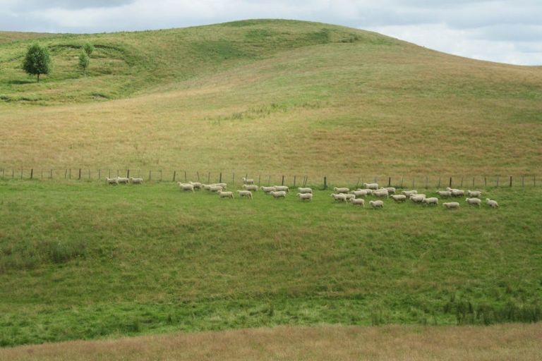 Photo of property in 359 Mangatarata Road, Waipukurau, 4285