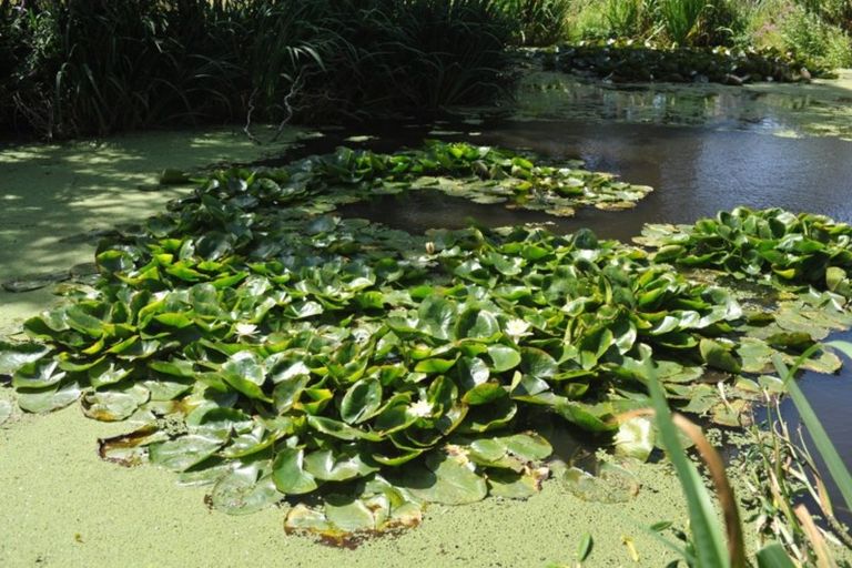 Photo of property in 156 Smiths Road, Teviot, Roxburgh, 9572