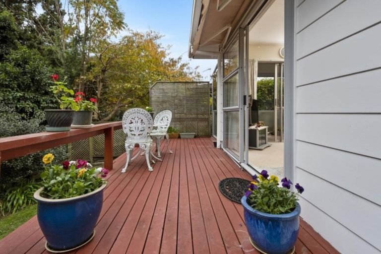 Photo of property in 24b Burns Street, Gate Pa, Tauranga, 3112