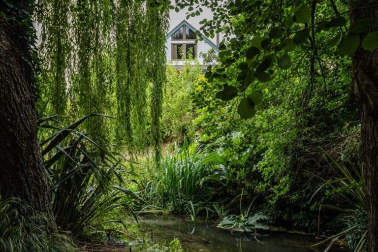 Photo of property in 56 Rayner Street, Temuka, 7920