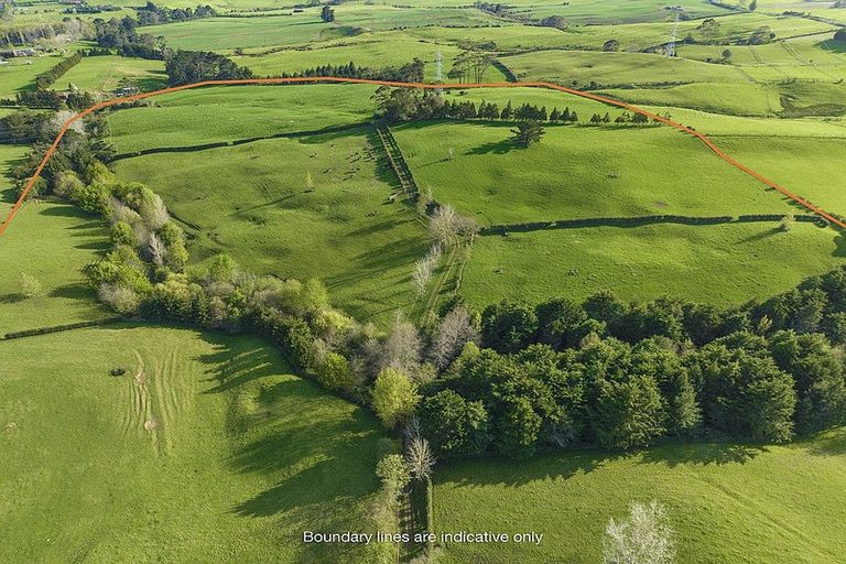 Photo of property in 290 Ostrich Road, Patumahoe, Pukekohe, 2679