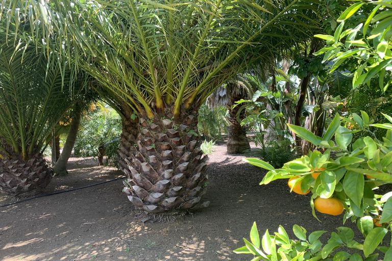 Photo of property in 17 Karaka Drive, Kerikeri, 0230