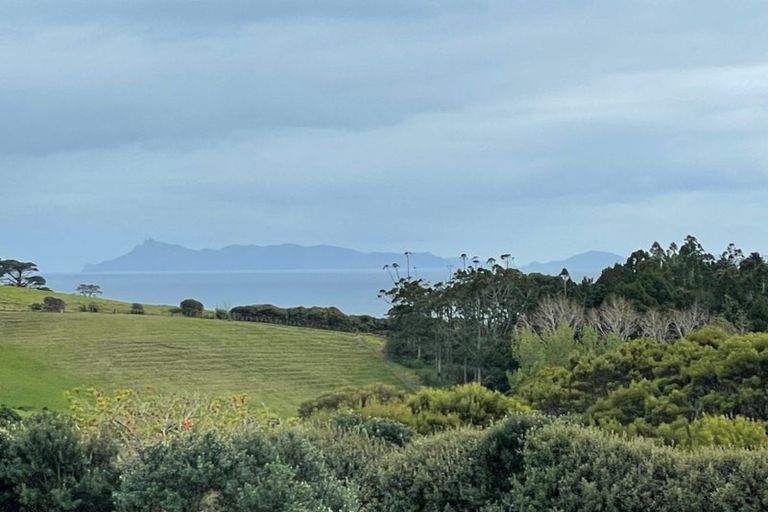 Photo of property in 8 Mount Pleasant Drive, Leigh, 0985