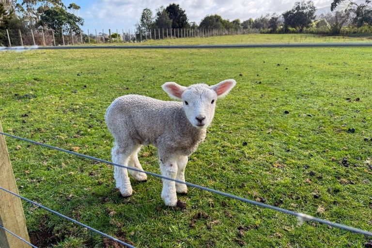 Photo of property in 76 Parenga Road, Hautere, Otaki, 5582