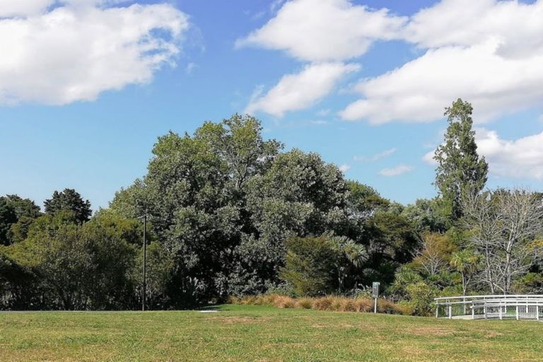 Photo of property in 21 Mt Lebanon Lane, Henderson, Auckland, 0612