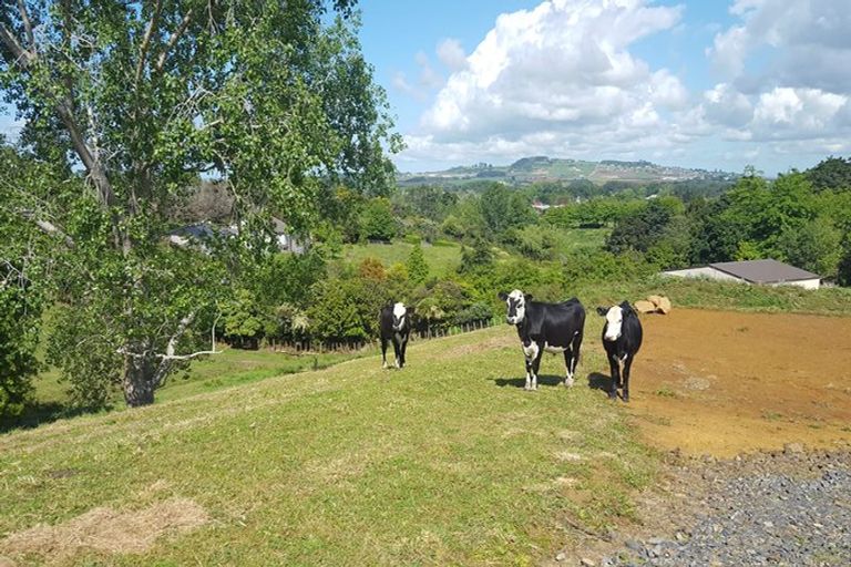 Photo of property in 197 Buckville Road, Buckland, Pukekohe, 2677