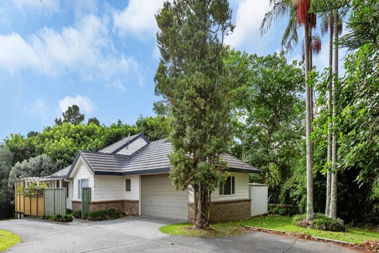 Photo of property in 17d Bernard Street, Avenues, Whangarei, 0110