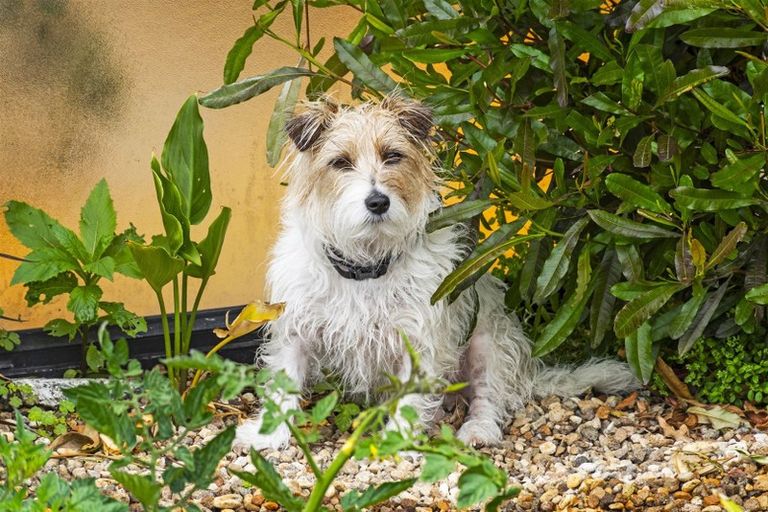 Photo of property in 1/44 Paterson Street, Mount Maunganui, 3116