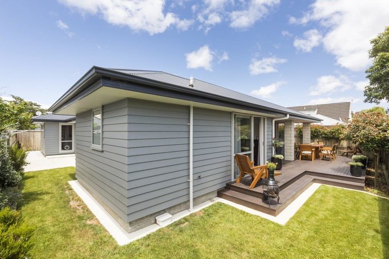 Photo of property in 31a Manson Street, Terrace End, Palmerston North, 4410