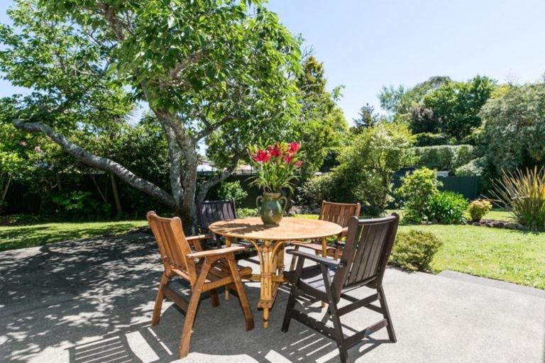 Photo of property in 1 Shortland Place, Havelock North, 4130