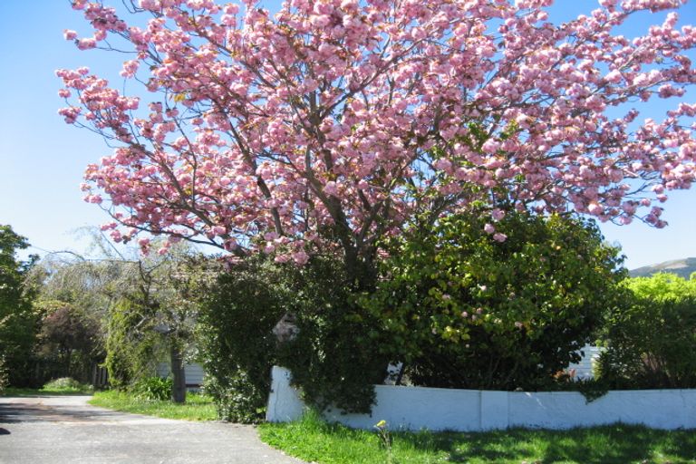 Photo of property in 3 Nikau Street, Stoke, Nelson, 7011