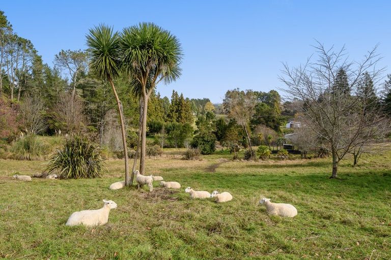 Photo of property in 84 Tebbutt Road, Lower Kaimai, Tauranga, 3171