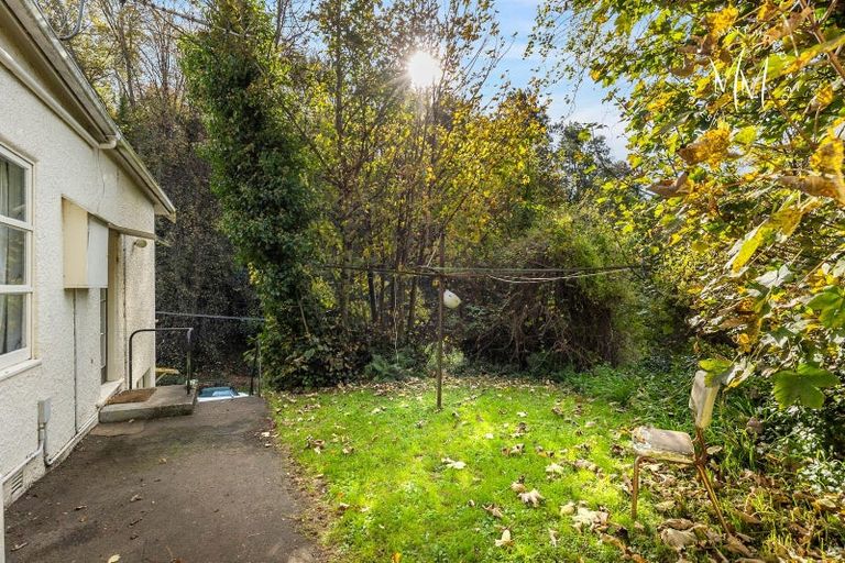 Photo of property in 47 Serpentine Avenue, Dunedin Central, Dunedin, 9016