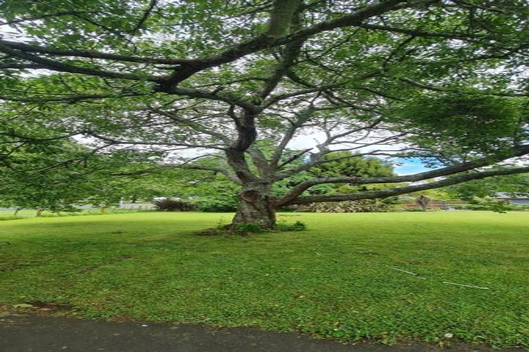 Photo of property in 279 Lamb Street, Leamington, Cambridge, 3432