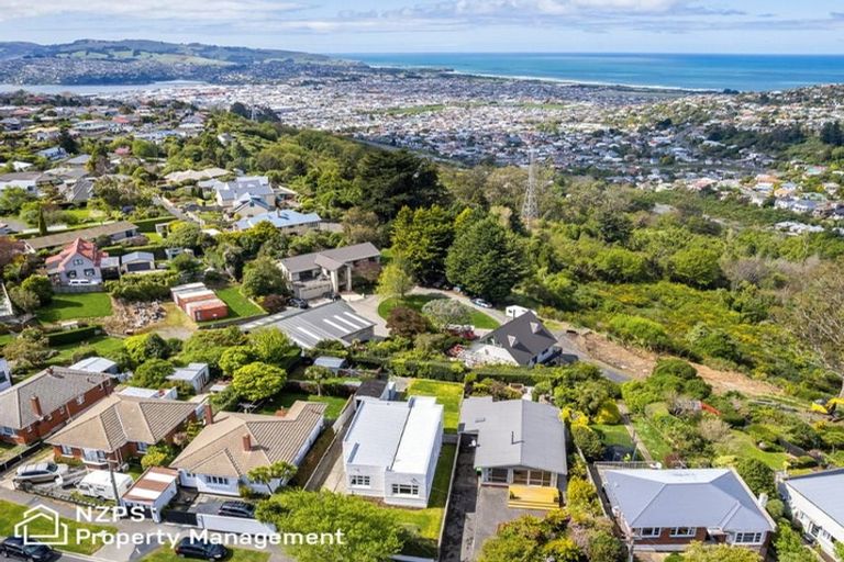 Photo of property in 111 Mornington Road, Kenmure, Dunedin, 9011