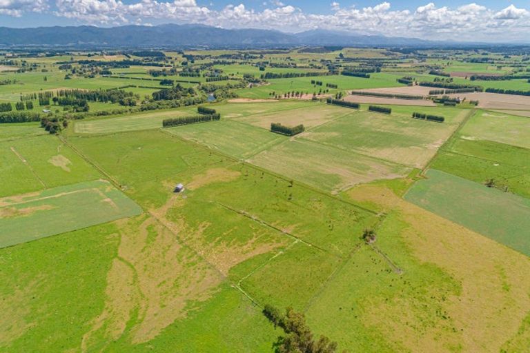Photo of property in 247 Mahaki Road, Dyerville, Martinborough, 5781