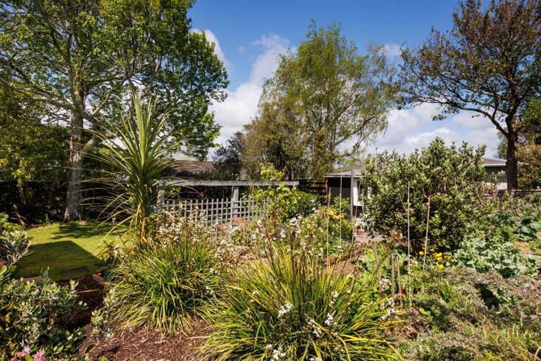 Photo of property in 206 Vogel Street, Roslyn, Palmerston North, 4414