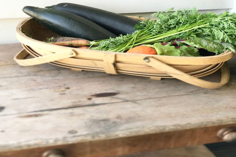 Photo of property in 381 Racecourse Road, Te Awamutu, 3800