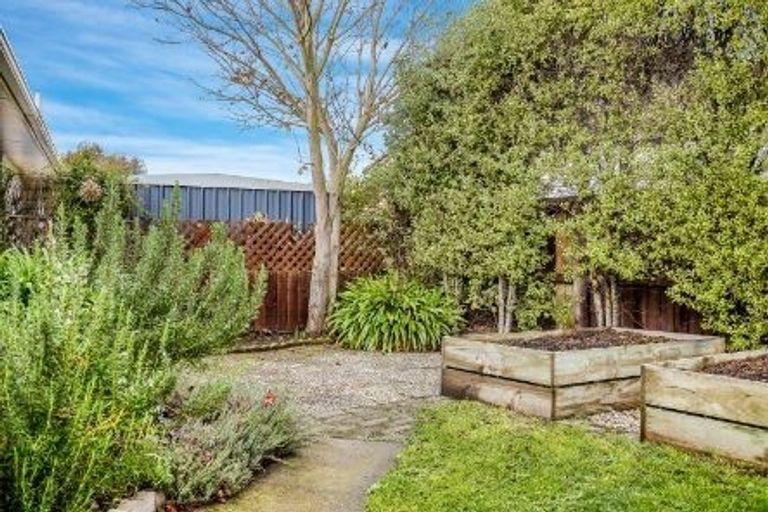 Photo of property in 4a Bowie Drive, Woodend, 7610