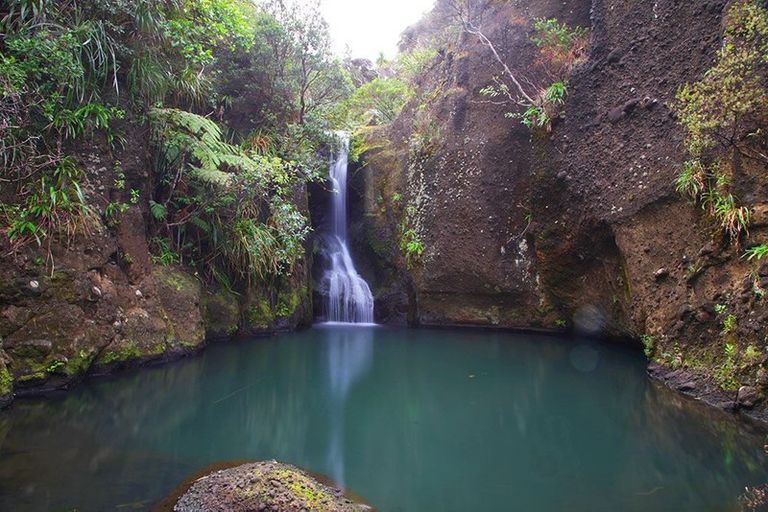 Photo of property in 128 Lone Kauri Road, Karekare, Auckland, 0772