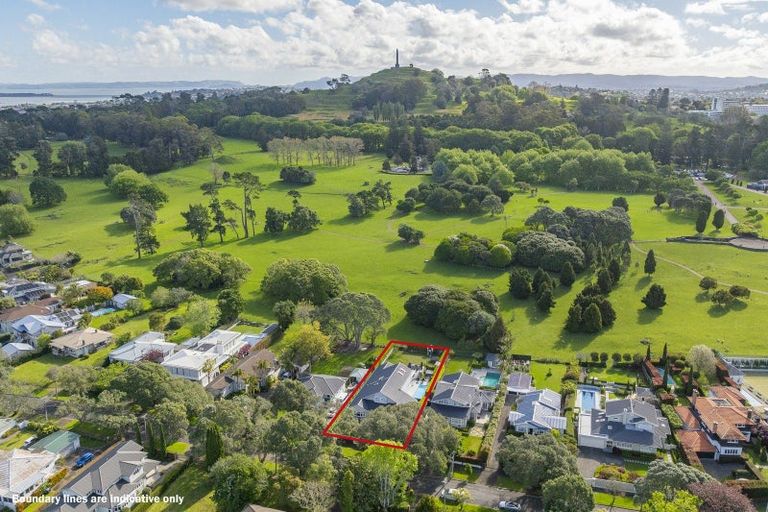 Photo of property in 39 Maungakiekie Avenue, Greenlane, Auckland, 1051