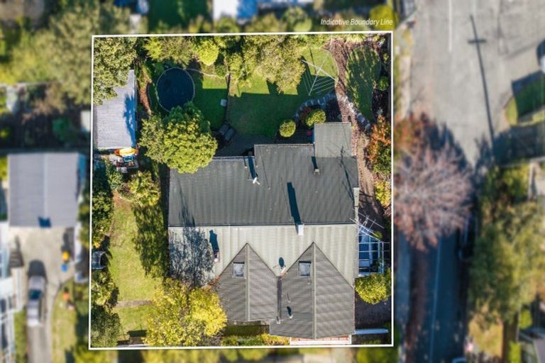 Photo of property in 19 Tipahi Street, Nelson South, Nelson, 7010