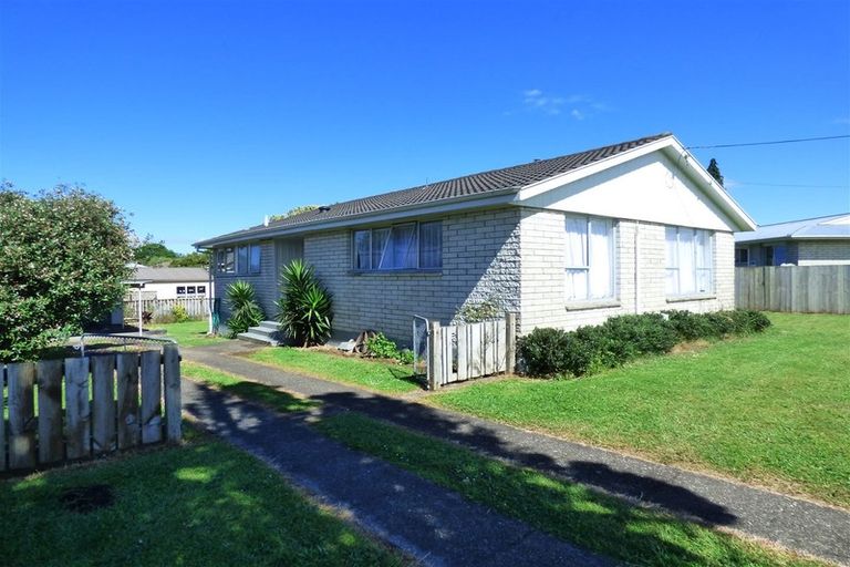 Photo of property in 39 Rangitahi Street, Otorohanga, 3900