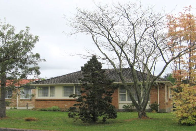 Photo of property in 25 Shaw Avenue, Paeroa, 3600