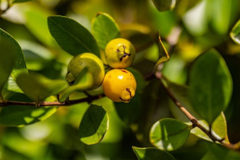 Photo of property in 105 Yorke Road, Haruru, 0204