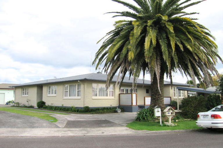 Photo of property in 20 Vine Avenue, Maungatapu, Tauranga, 3112