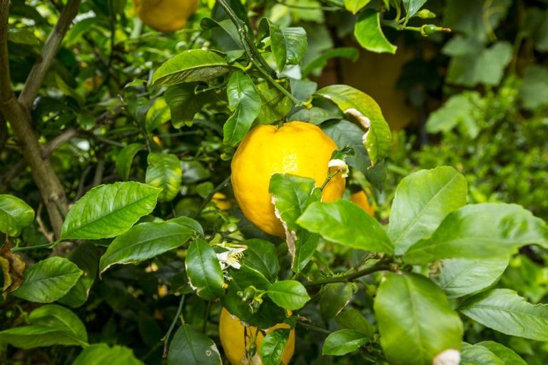 Photo of property in 37 Kashmir Avenue, Clouston Park, Upper Hutt, 5018